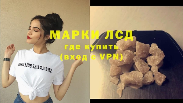 шишки Мегион