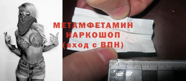 шишки Мегион