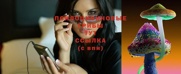 хмурый Магас