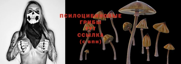 хмурый Магас
