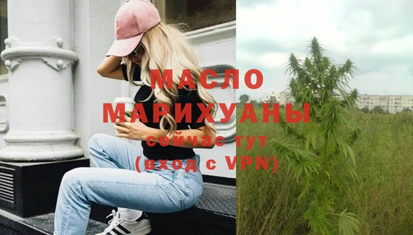 шишки Мегион