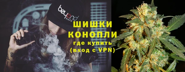 хмурый Магас