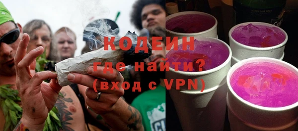 хмурый Магас