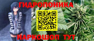 прущие крисы Ликино-Дулёво
