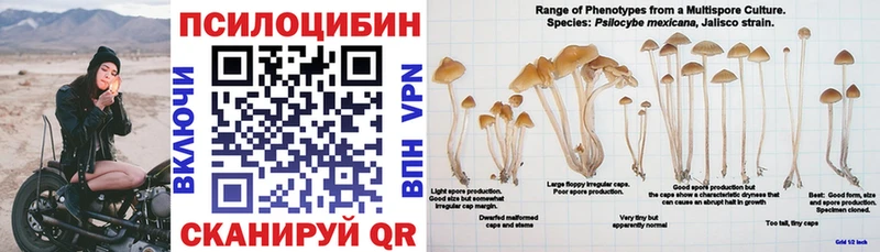 Галлюциногенные грибы Magic Shrooms Сухой Лог