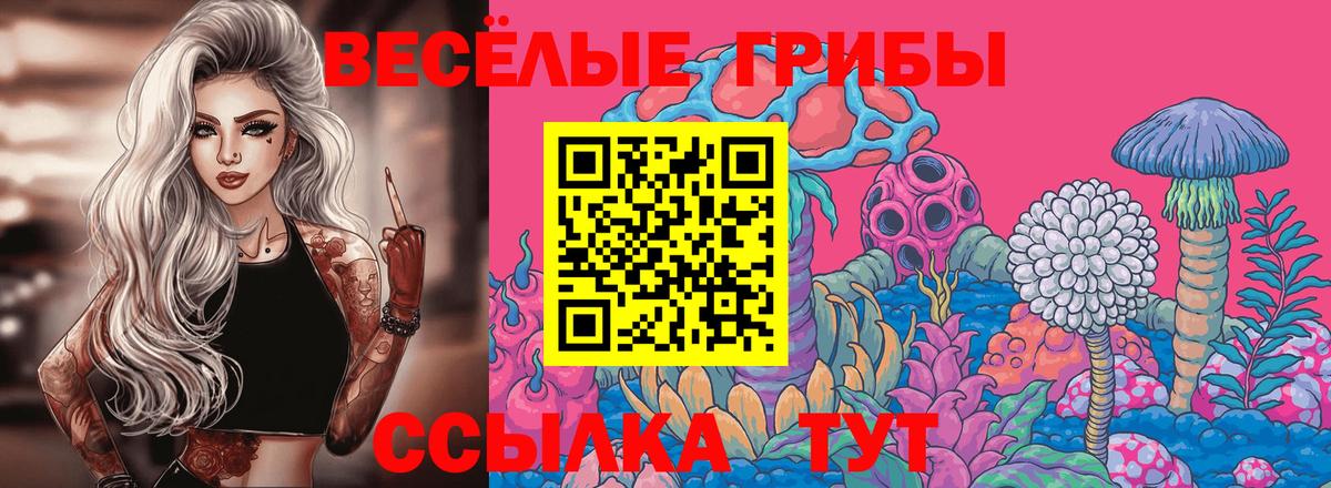 Сухой Лог  Галлюциногенные грибы Psilocybe  Вход с VPN 